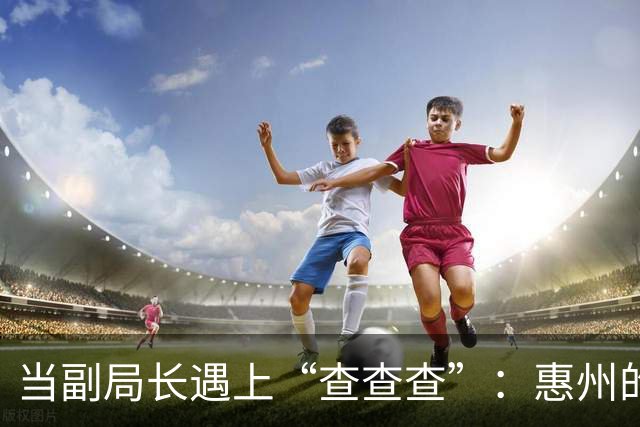 当副局长遇上“查查查”：惠州的故事